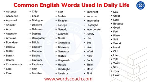 most common english words used in daily life